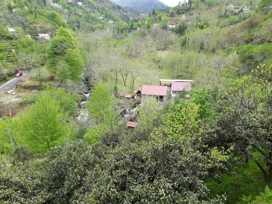 Дом в Батуми, Грузия, 300 м2 фото 4