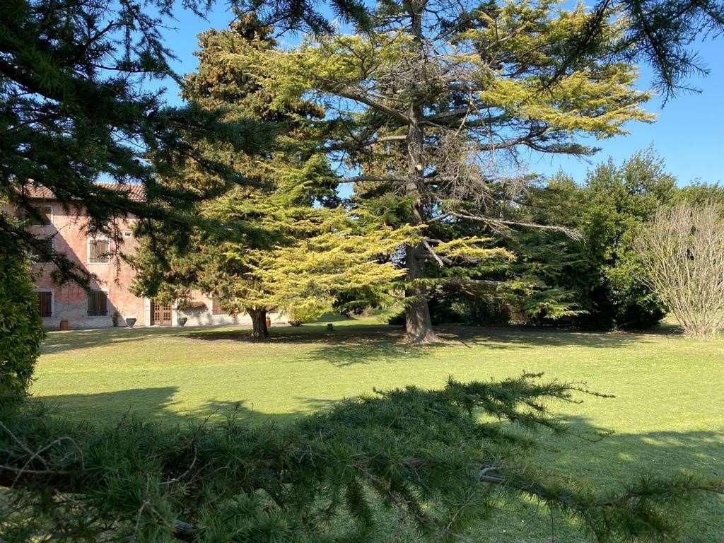 Вилла Grado, Италия, 425 м2 фото 3