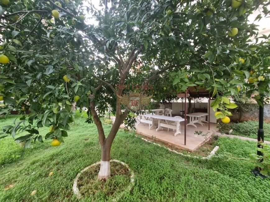 Квартира в Алании, Турция, 100 м2 фото 2