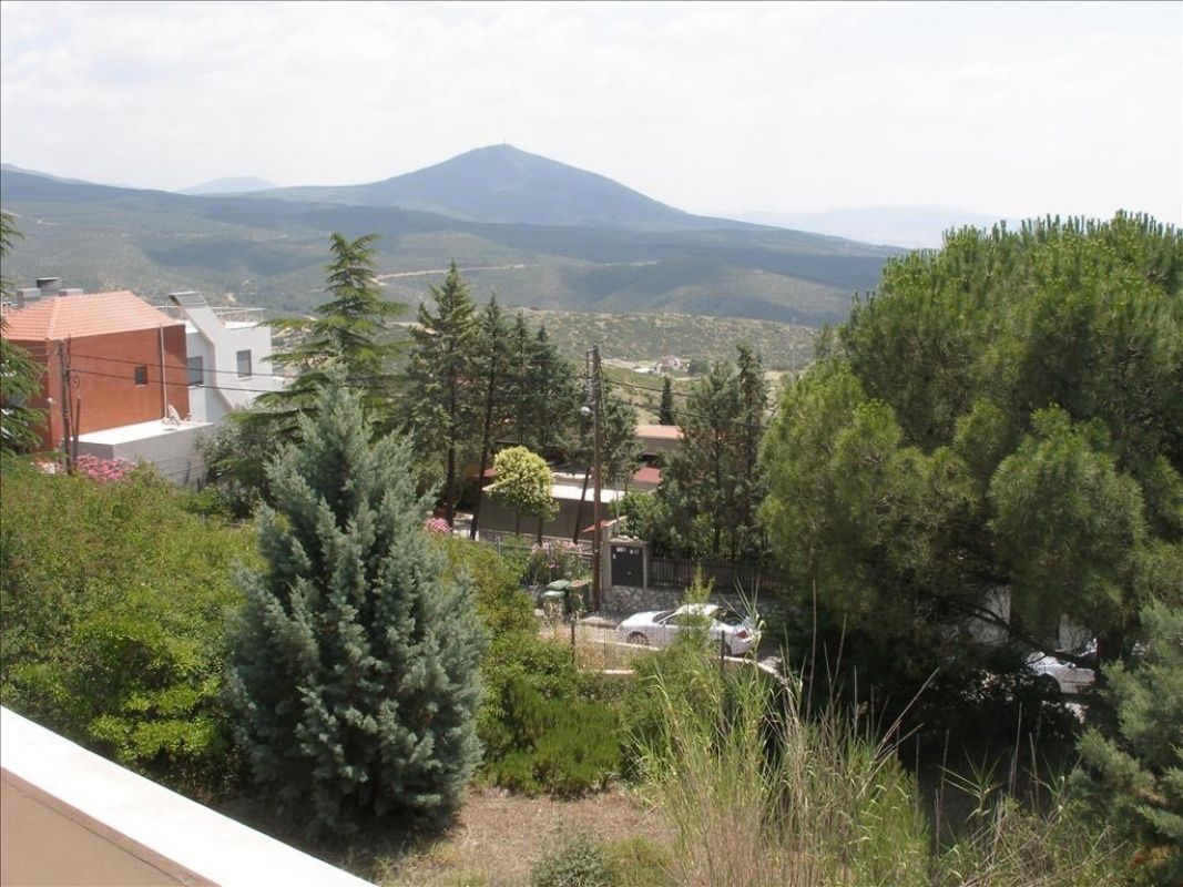 Дом на Ионических островах, Греция, 160 м2 фото 3