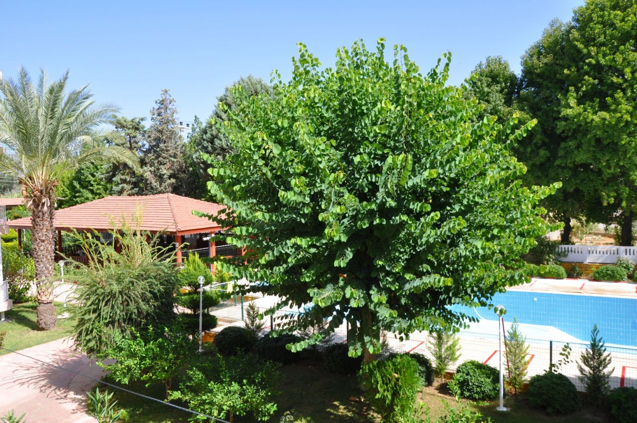 Квартира в Фетхие, Турция, 120 м2 фото 4