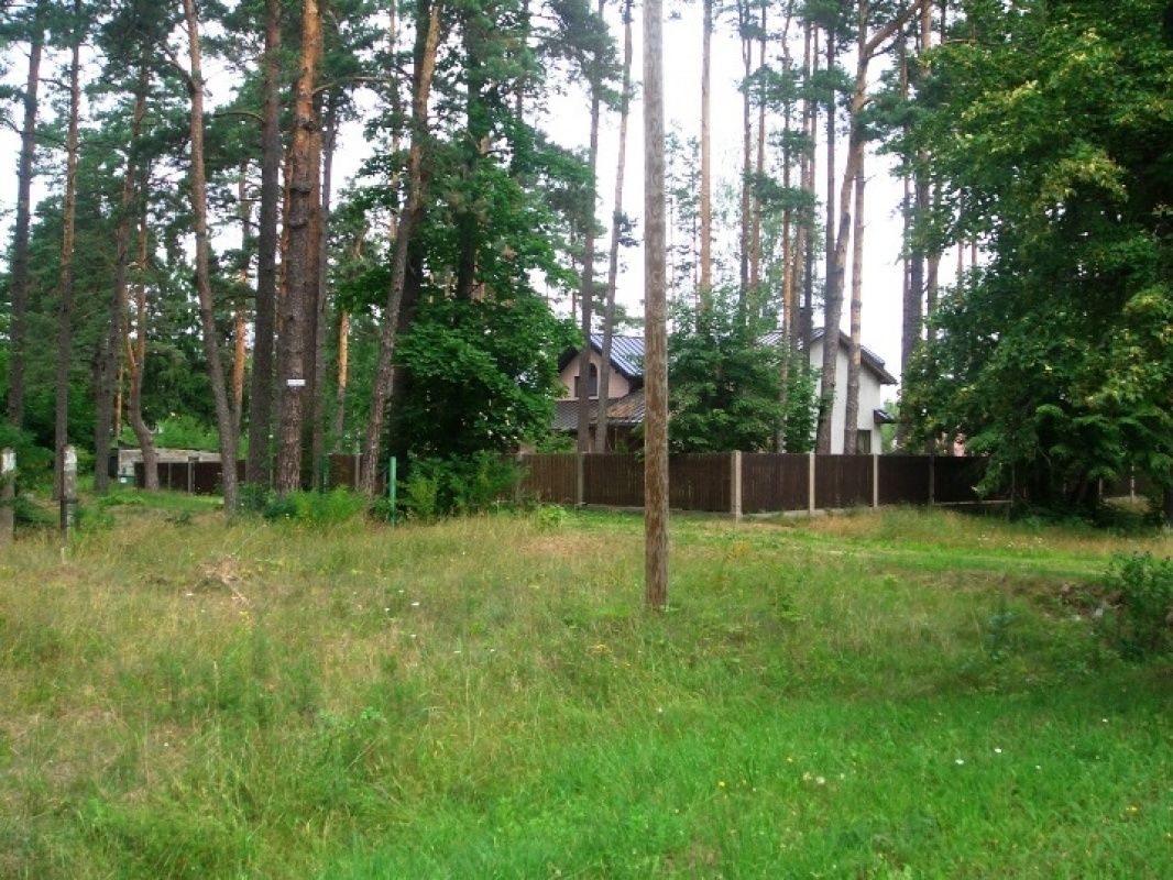 Дом в Рижском крае, Латвия, 1 902 сот. фото 3