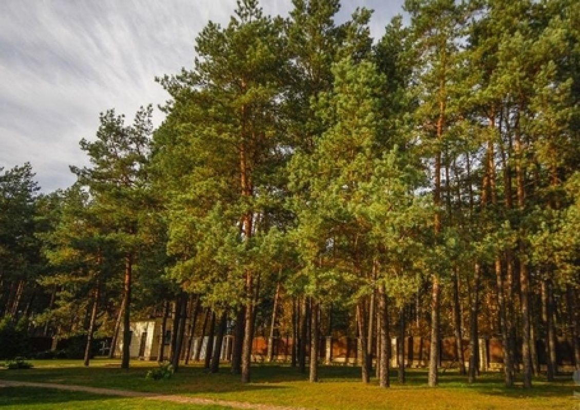 Квартира в Рижском крае, Латвия фото 2