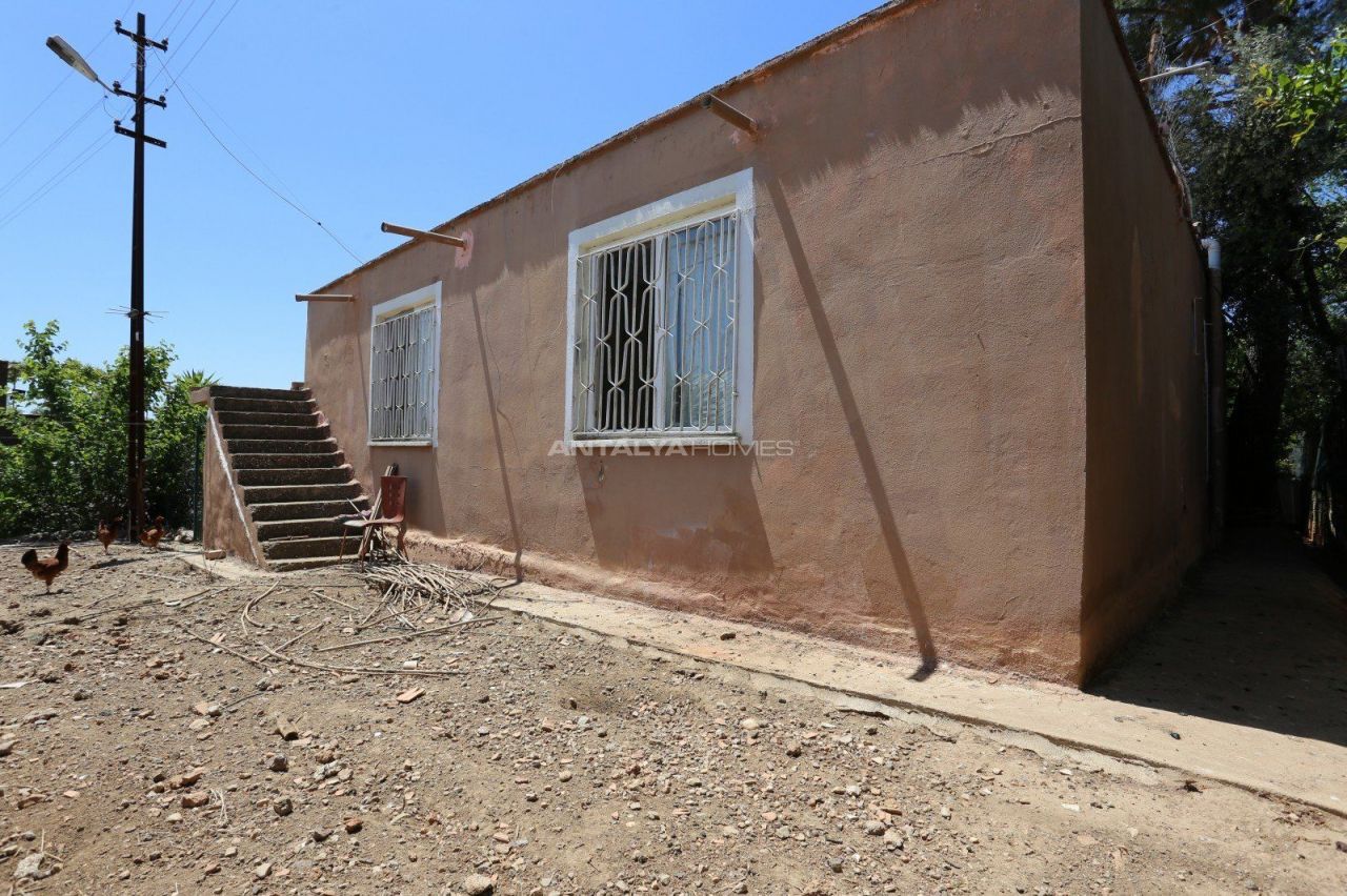 Ферма в Анталии, Турция, 289 м2 фото 2