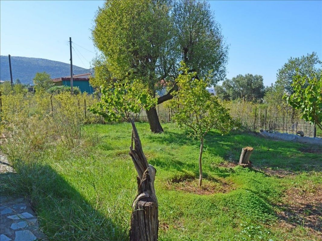Дом в Афинах, Греция, 85 м2 фото 3