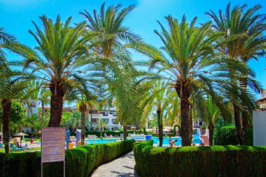 Апартаменты в Торревьехе, Испания, 55 м2 фото 4