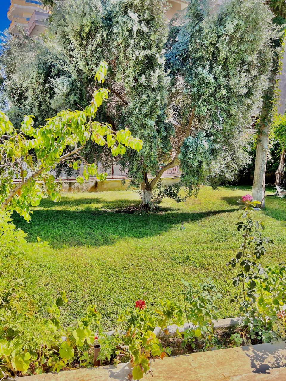 Квартира в Алании, Турция, 60 м2 фото 4