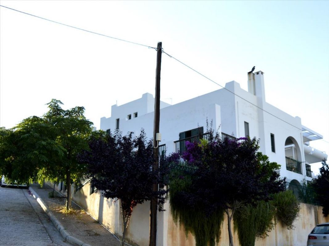 Дом в Афинах, Греция, 310 м2 фото 2