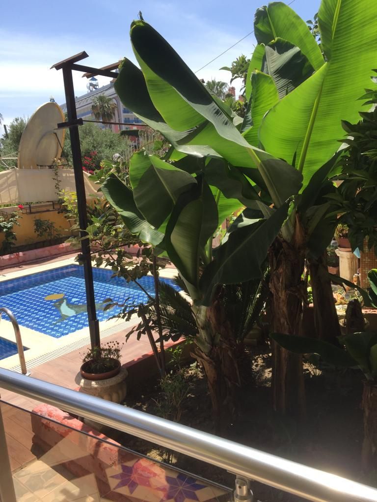 Вилла в Конаклы, Турция, 250 м2 фото 4