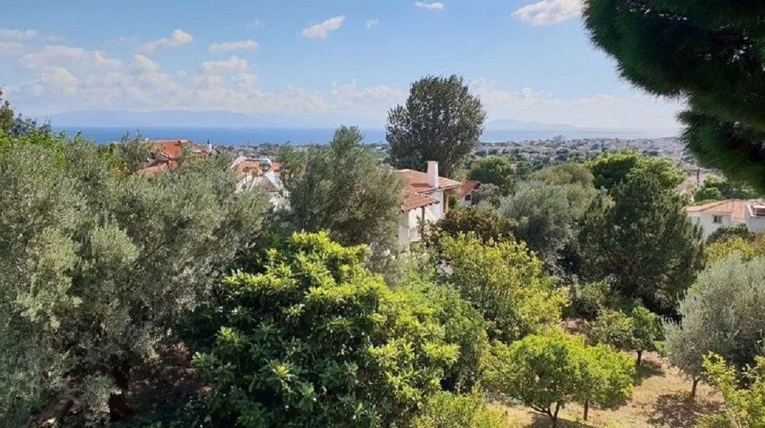 Дом в Аттике, Греция, 220 м2 фото 2