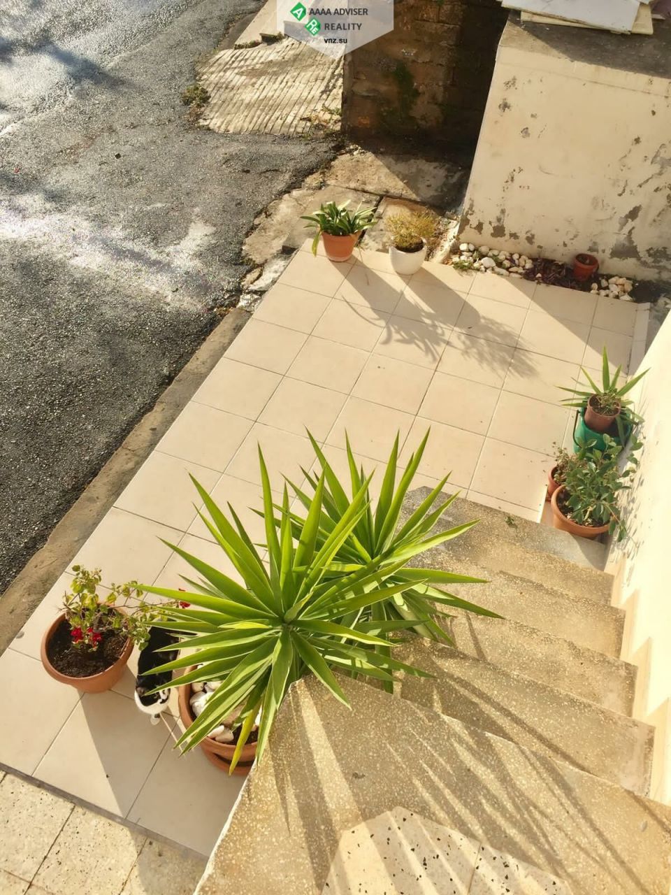 Квартира в Алании, Турция, 75 м2 фото 2