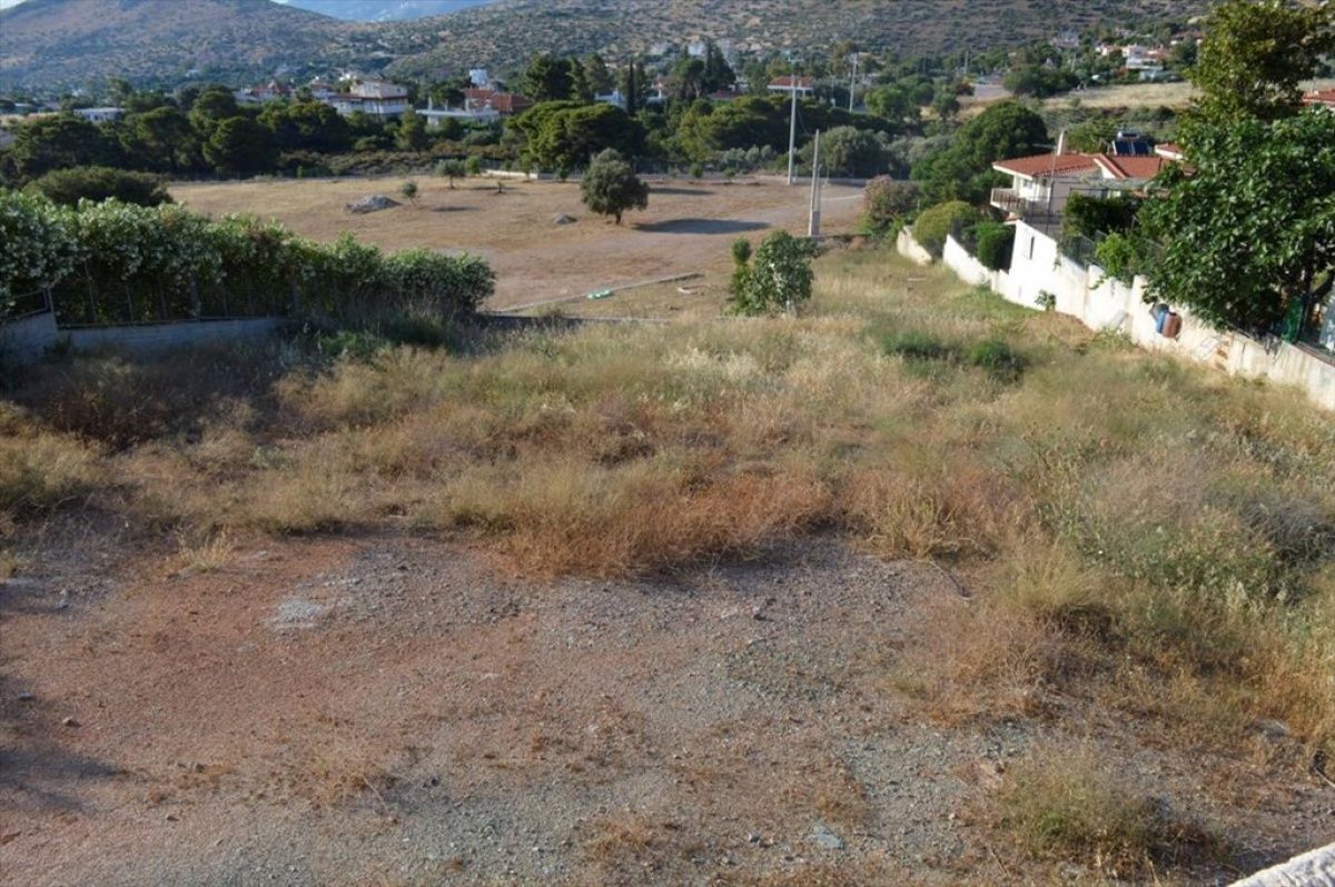 Дом в Афинах, Греция, 350 м2 фото 5