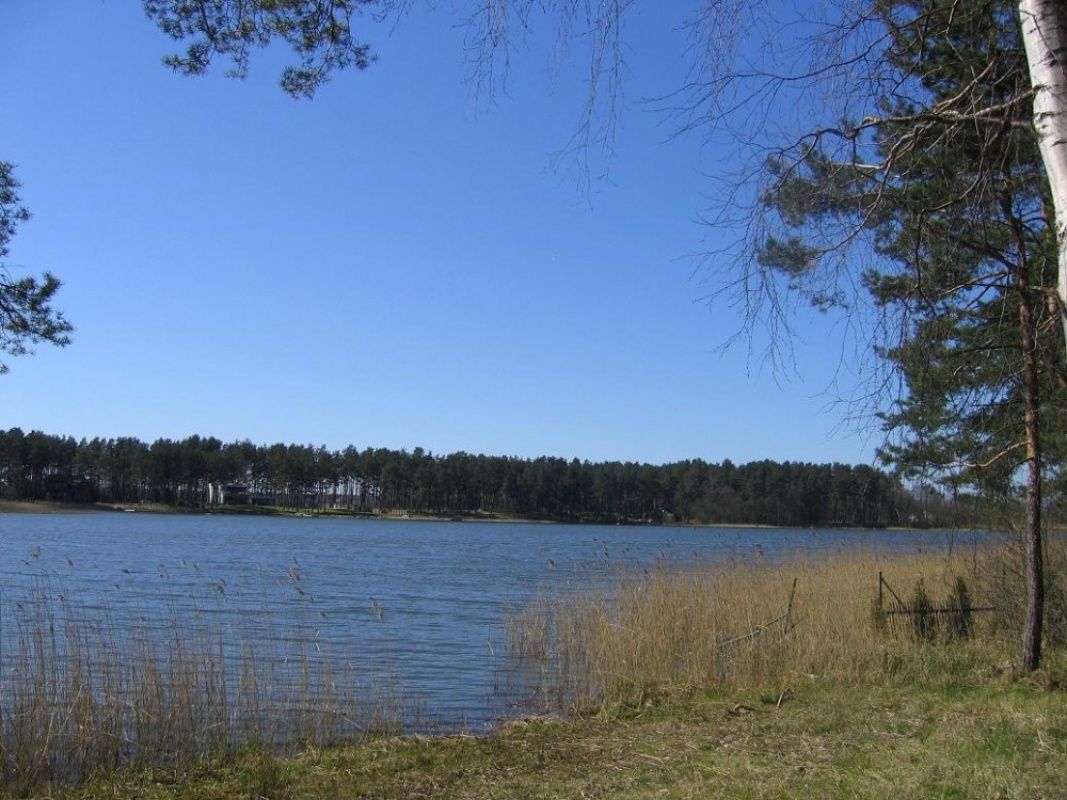 Дом в Рижском крае, Латвия, 1 000 сот. фото 5