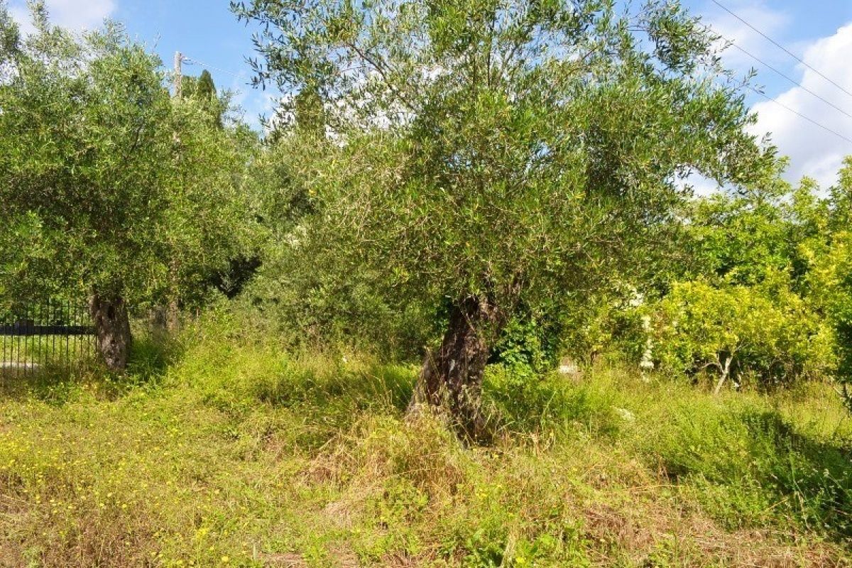 Дом на Ионических островах, Греция, 160 м2 фото 3