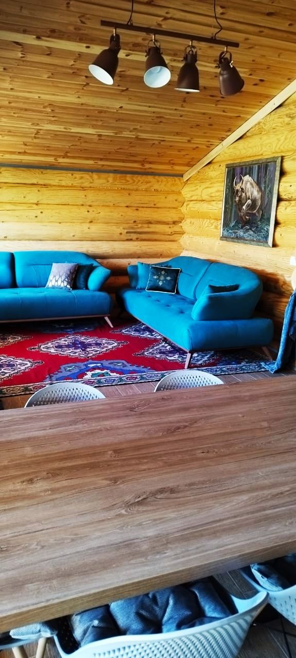 Поместье в Колашине, Черногория, 470 м2 фото 4