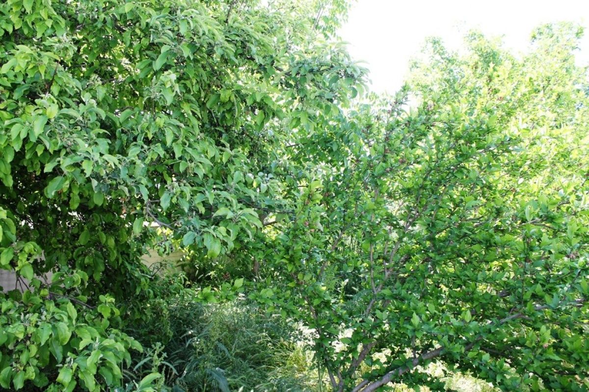 Дом на Ионических островах, Греция, 400 м2 фото 5