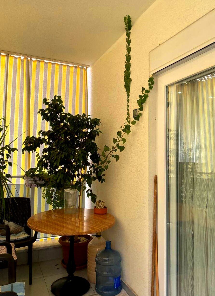 Квартира в Алании, Турция, 65 м2 фото 3