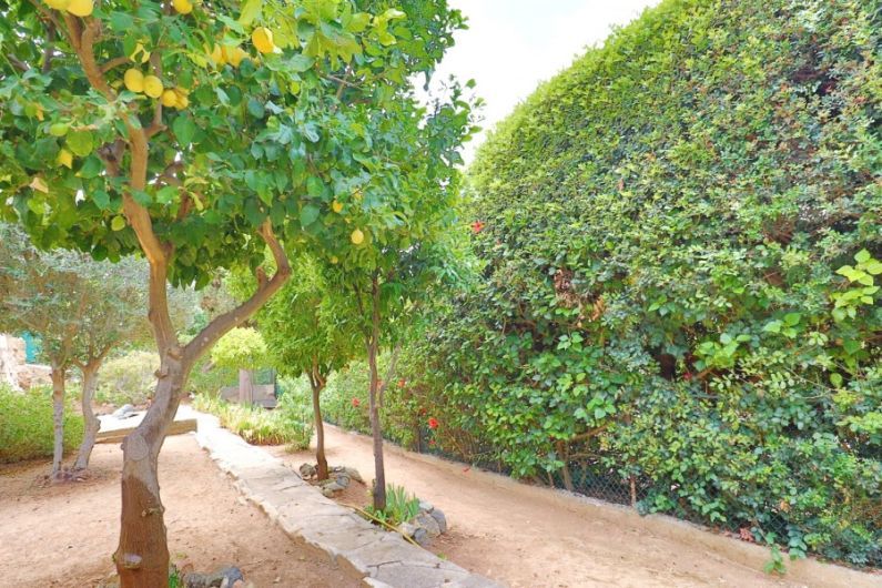 Коттедж в Тале, Кипр, 150 м2 фото 5