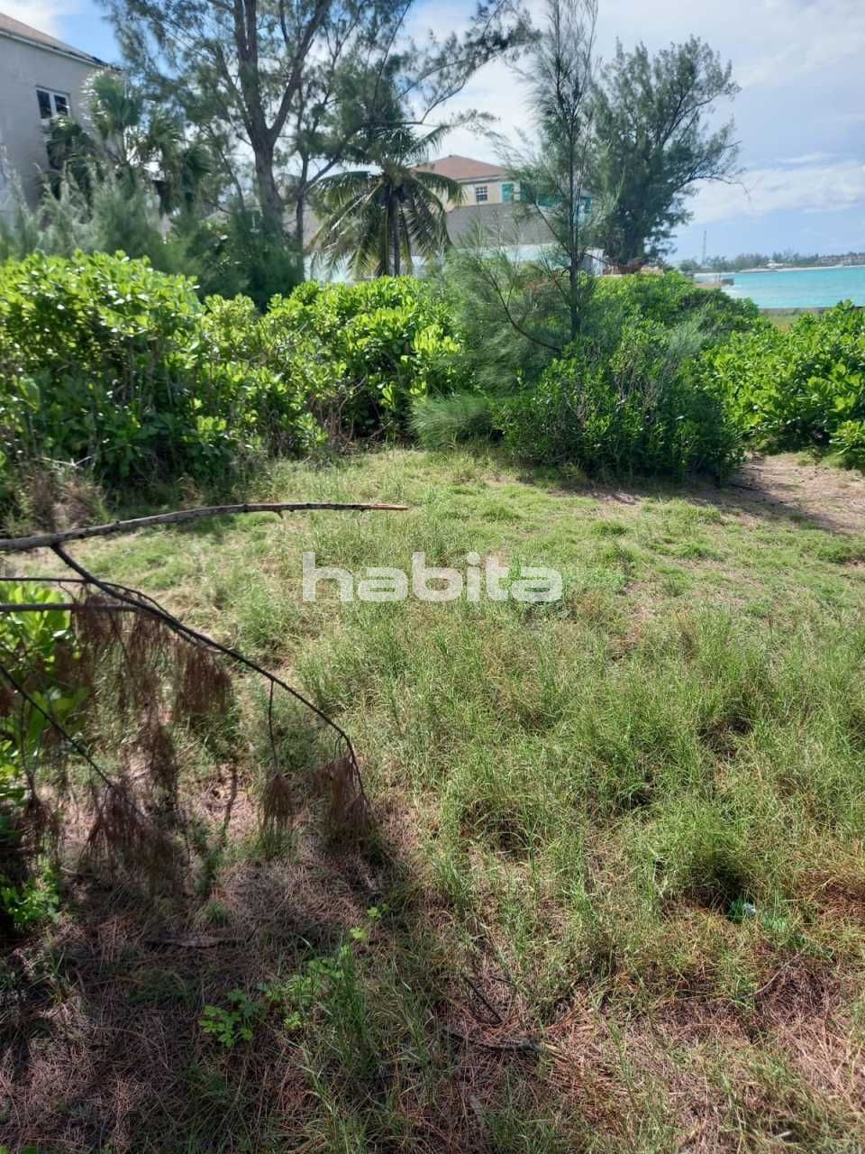 Дом New Providence, Багамские острова, 464 м2 фото 2