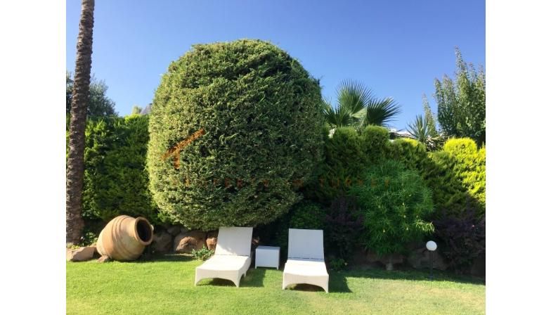 Дом в Гундогане, Турция, 350 м2 фото 4