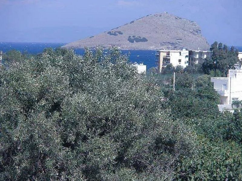 Дом в Аттике, Греция, 250 м2 фото 2