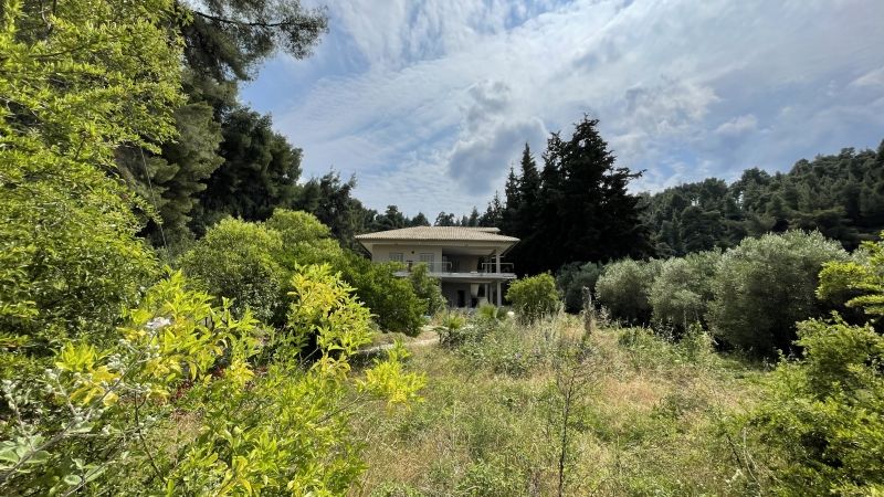 Дом в Салониках, Греция, 220 м2 фото 4