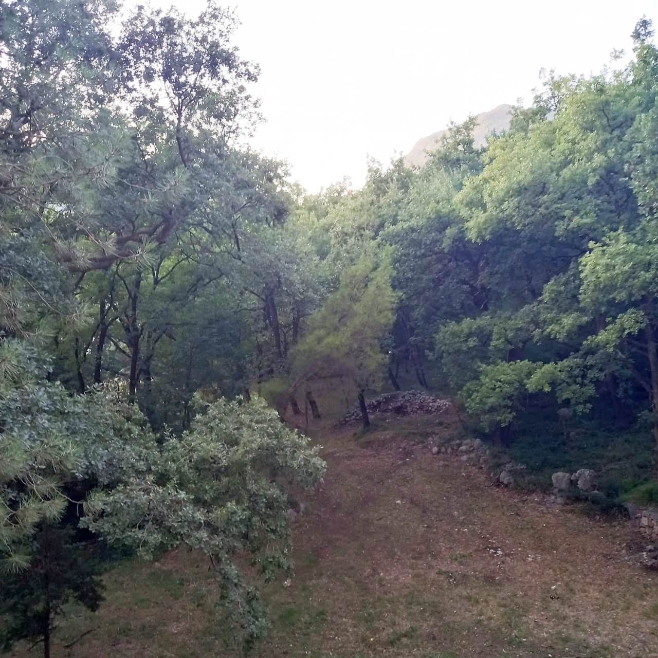 Квартира в Будве, Черногория, 38 м2 фото 5