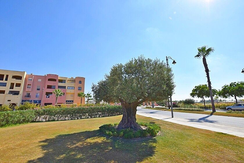 Апартаменты Mar Menor Golf Resort, Испания, 80 м2 фото 4