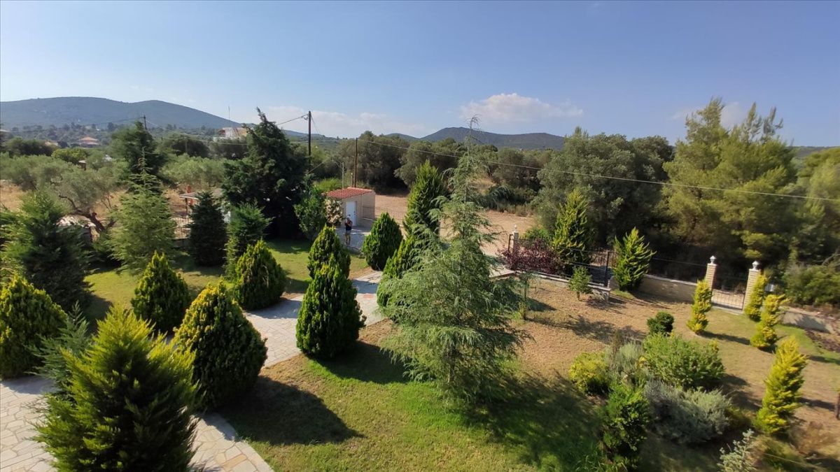 Дом в Ситонии, Греция, 360 м2 фото 5