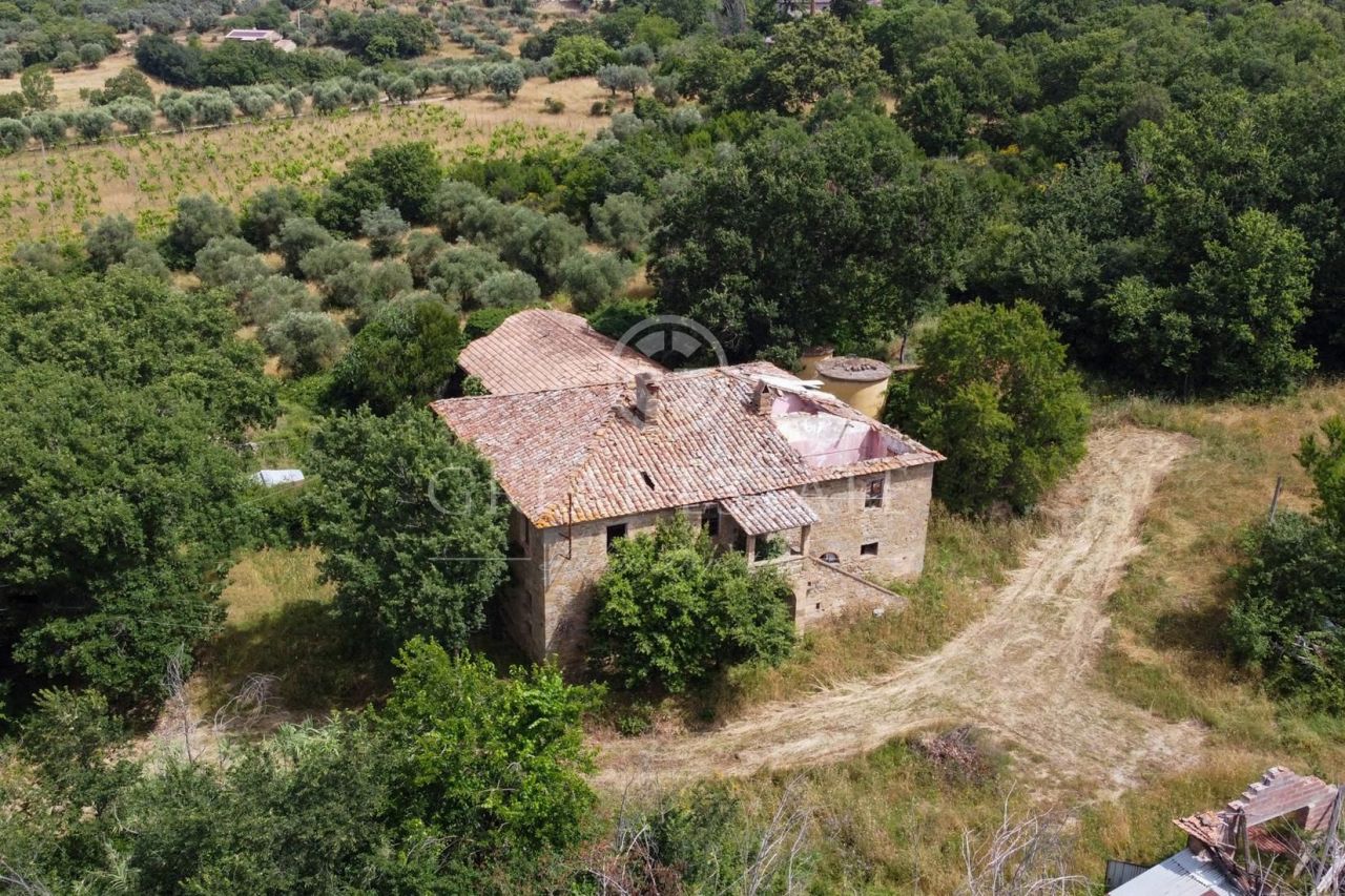 Дом в Пассиньяно-суль-Тразимено, Италия, 1 216.6 м2 фото 3