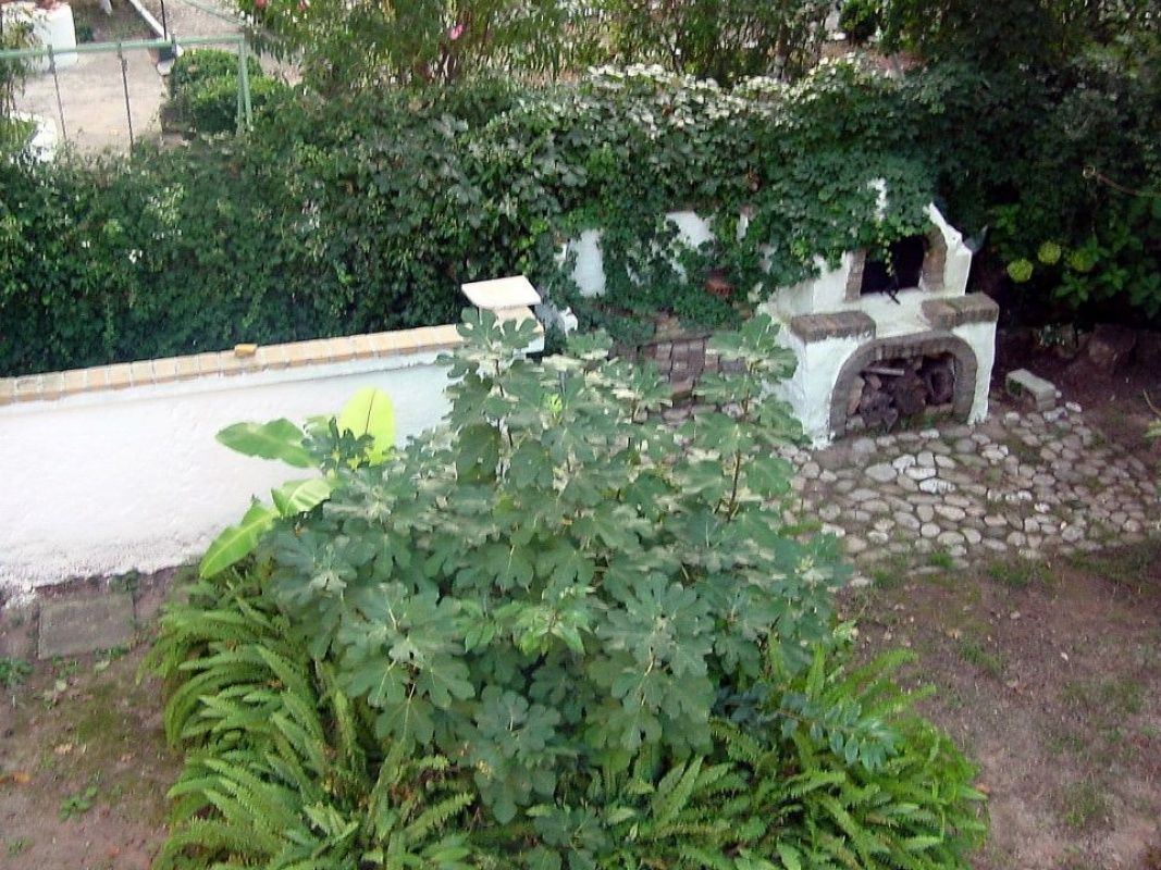 Дом на Ионических островах, Греция, 150 м2 фото 4