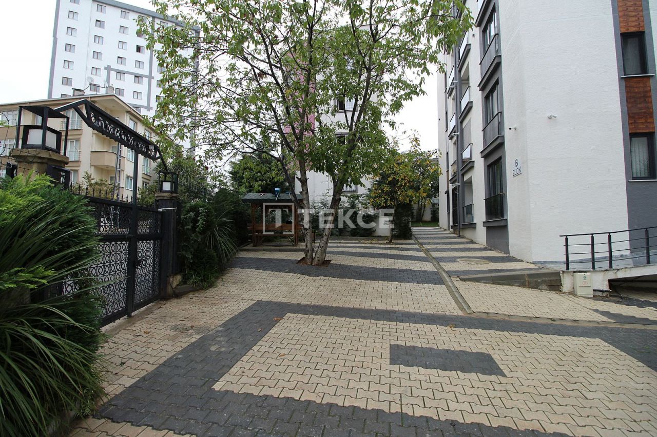 Апартаменты в Тузла, Турция, 85 м2 фото 2