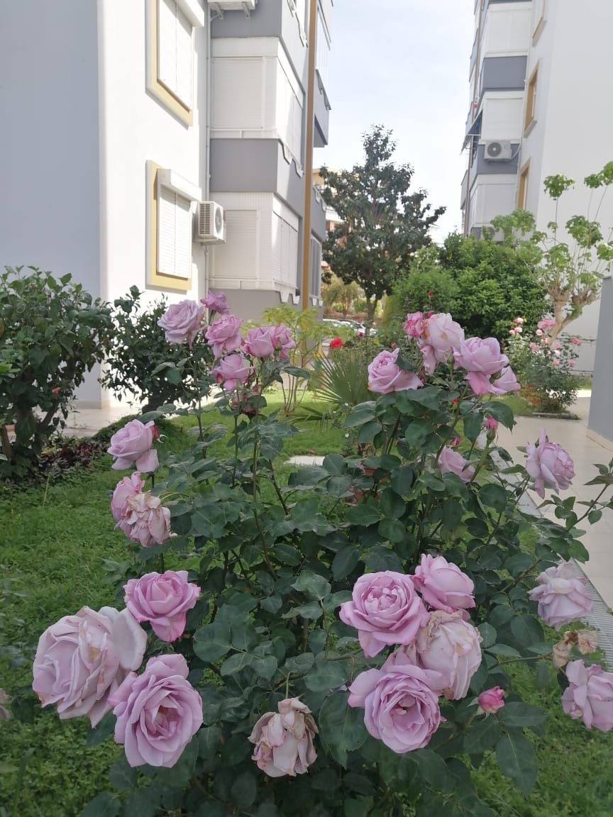 Квартира в Авсалларе, Турция, 110 м2 фото 5
