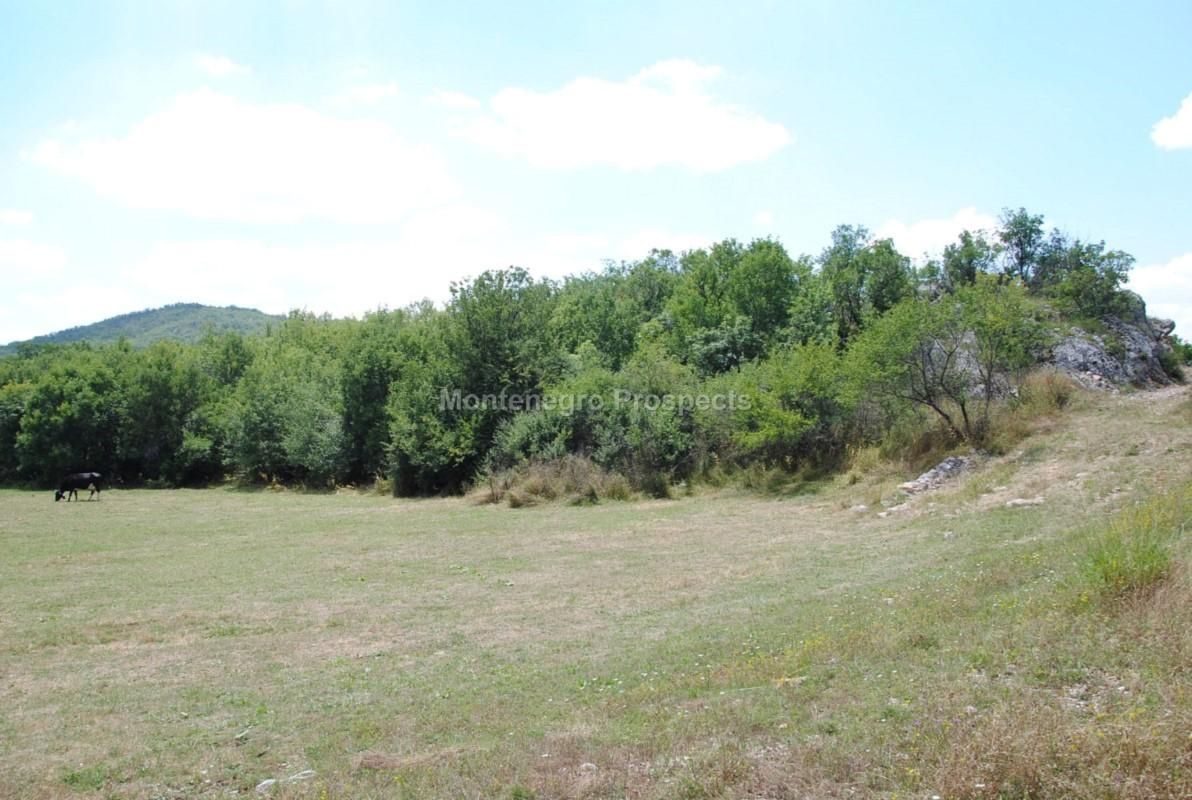 Дом в Никшиче, Черногория, 797 162 м2 фото 4