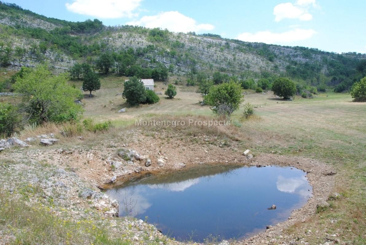 Дом в Никшиче, Черногория, 797 162 м2 фото 3