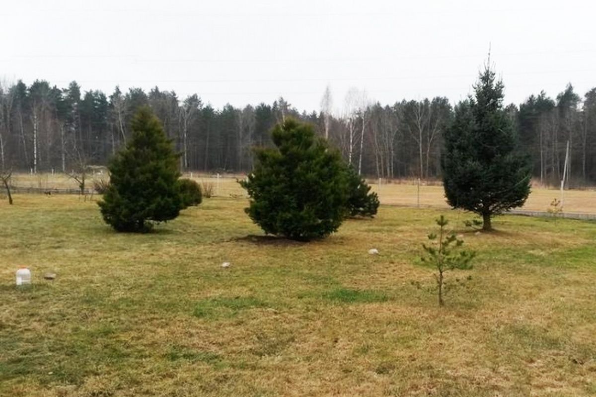 Дом в Рижском крае, Латвия, 30 000 сот. фото 3