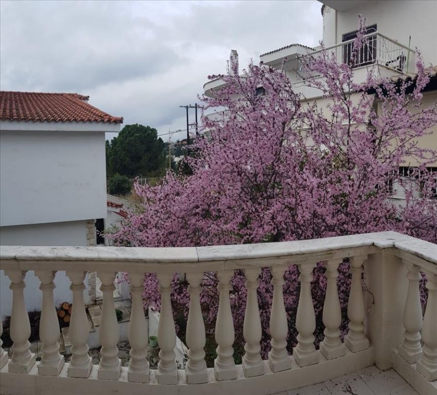 Дом на Ионических островах, Греция, 370 м2 фото 4