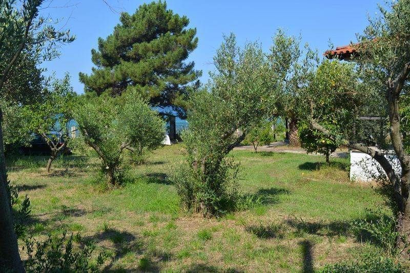 Вилла в Ситонии, Греция, 145 м2 фото 2