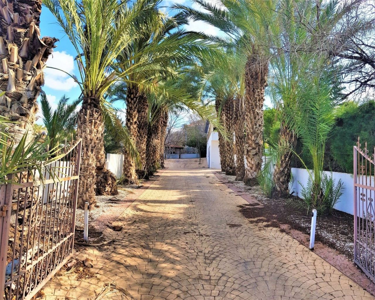 Вилла в Пафосе, Кипр, 610 м2 фото 2
