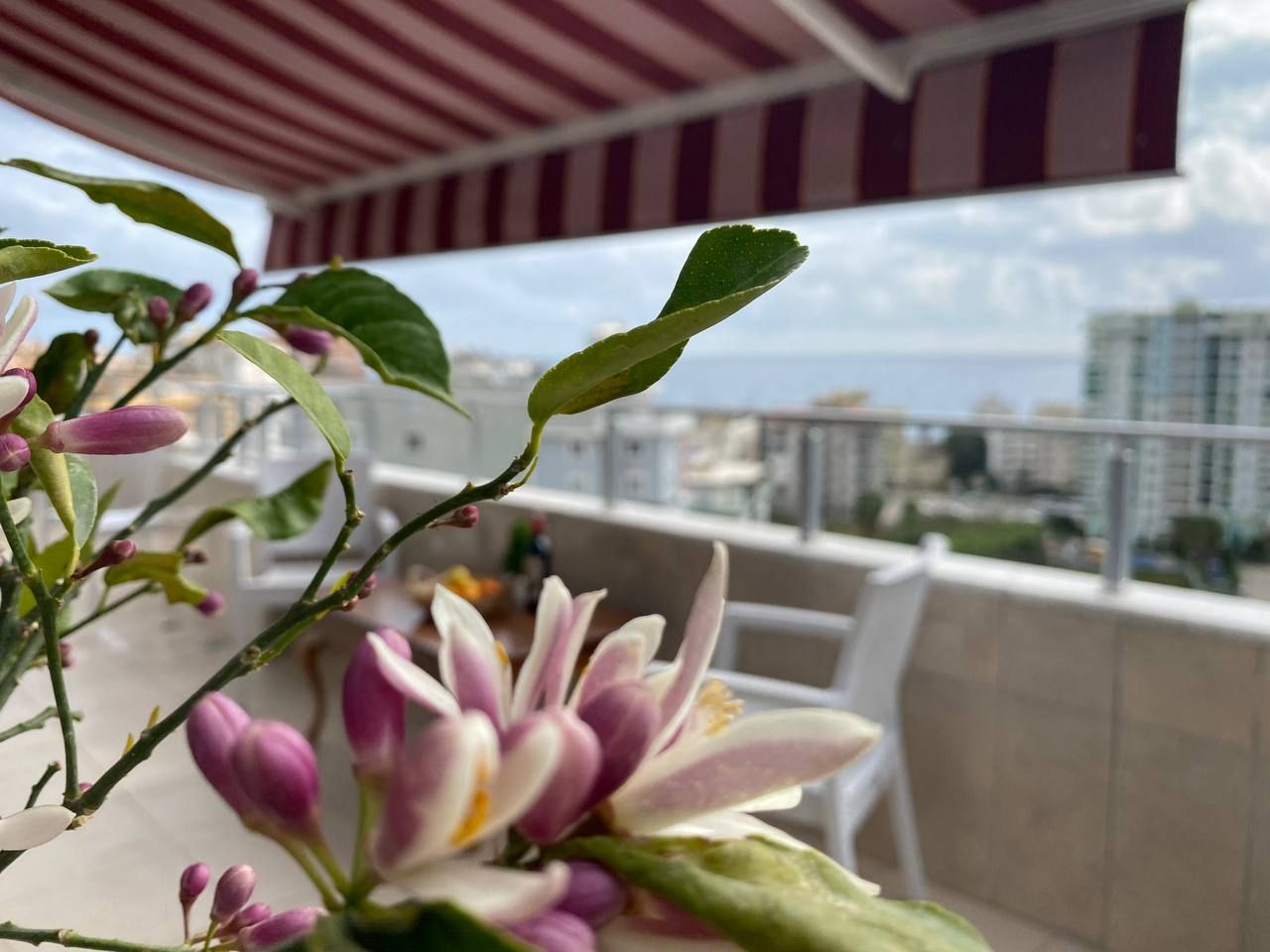 Квартира в Алании, Турция, 110 м2 фото 4
