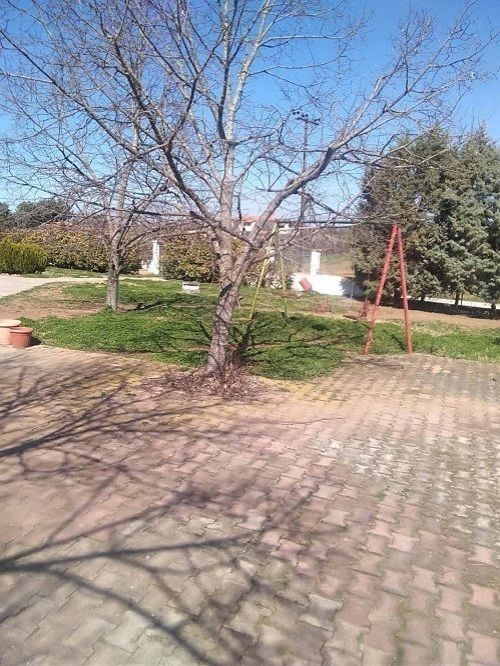 Дом в Салониках, Греция, 500 м2 фото 4