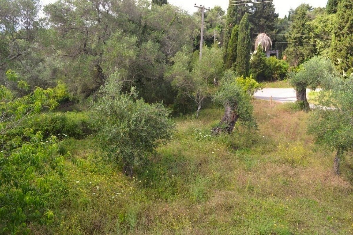 Дом на Ионических островах, Греция, 160 м2 фото 5