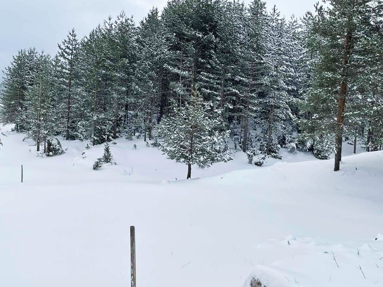 Бунгало в Жабляке, Черногория, 20 м2 фото 3