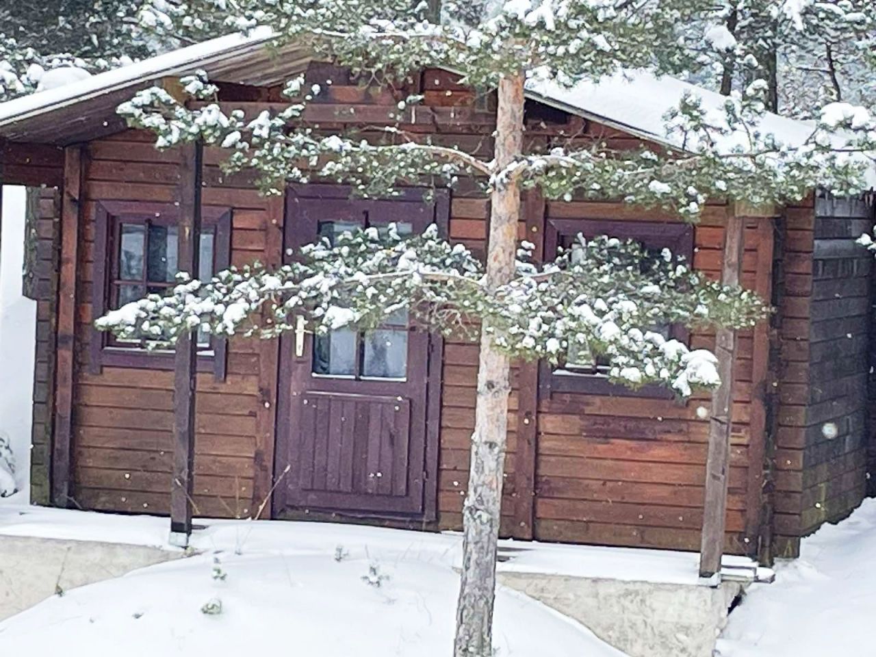 Бунгало в Жабляке, Черногория, 20 м2 фото 5