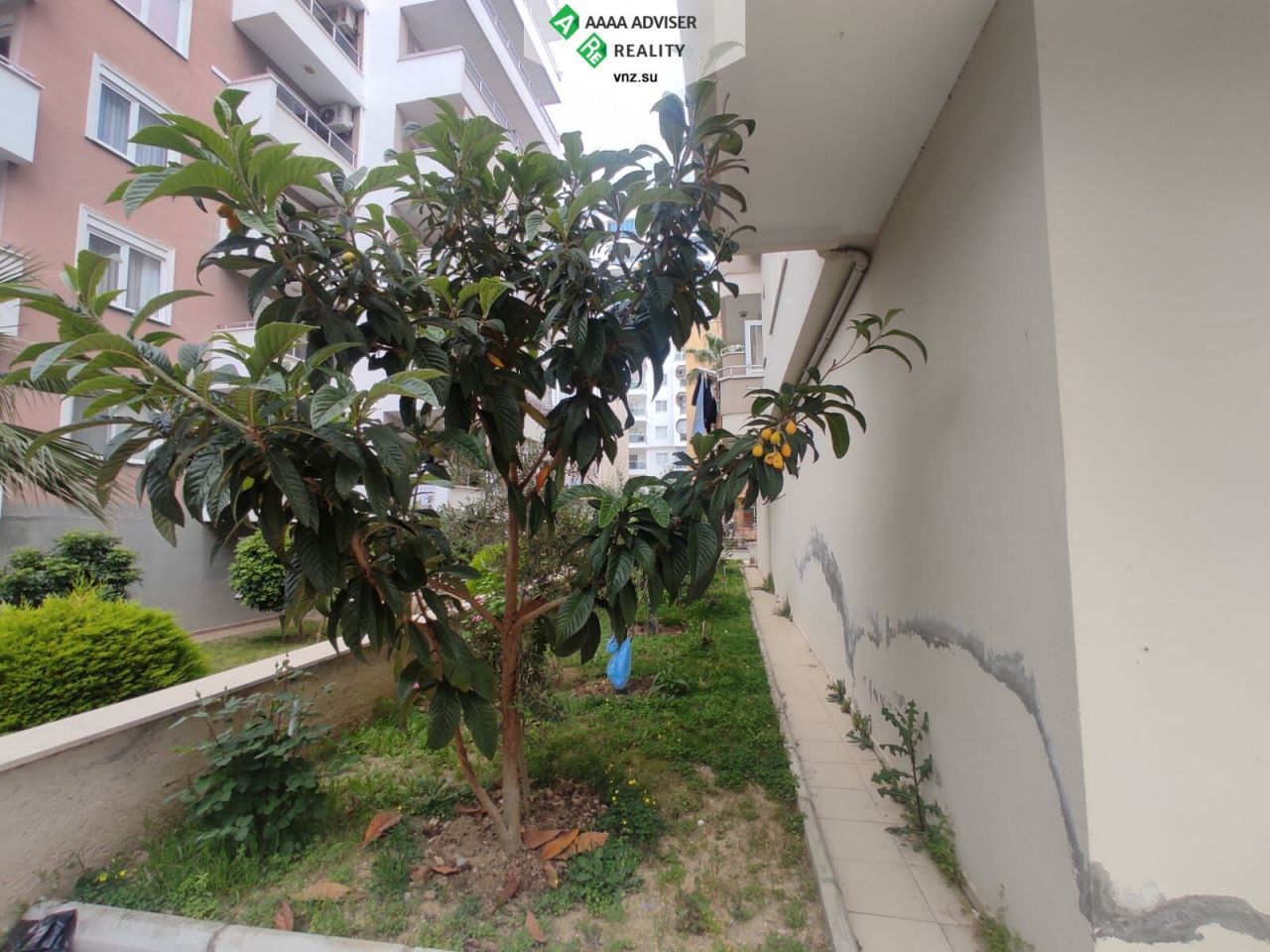 Квартира в Алании, Турция, 70 м2 фото 2
