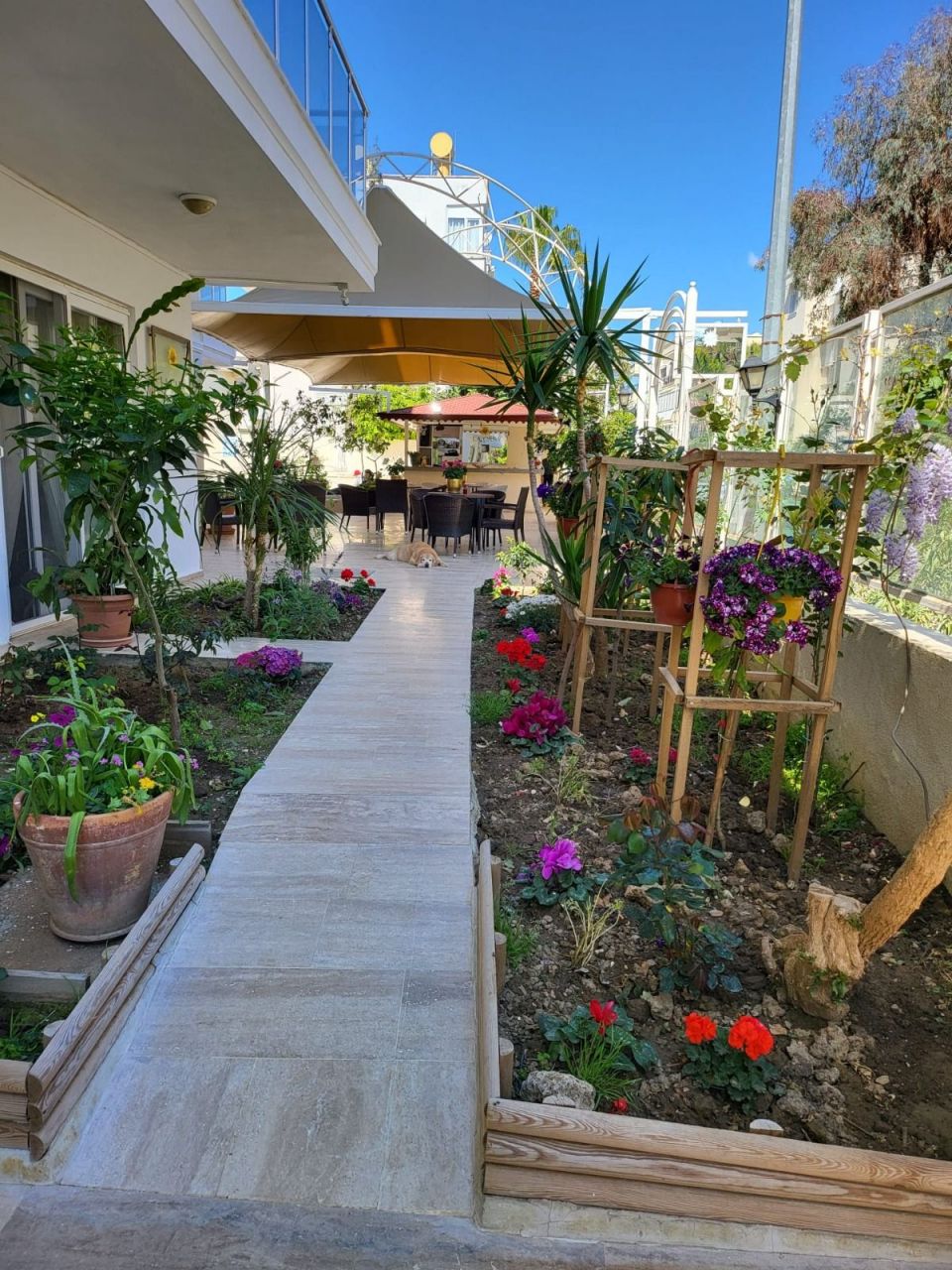 Квартира в Алании, Турция, 55 м2 фото 3