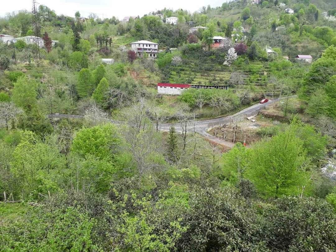 Дом в Батуми, Грузия, 300 м2 фото 3