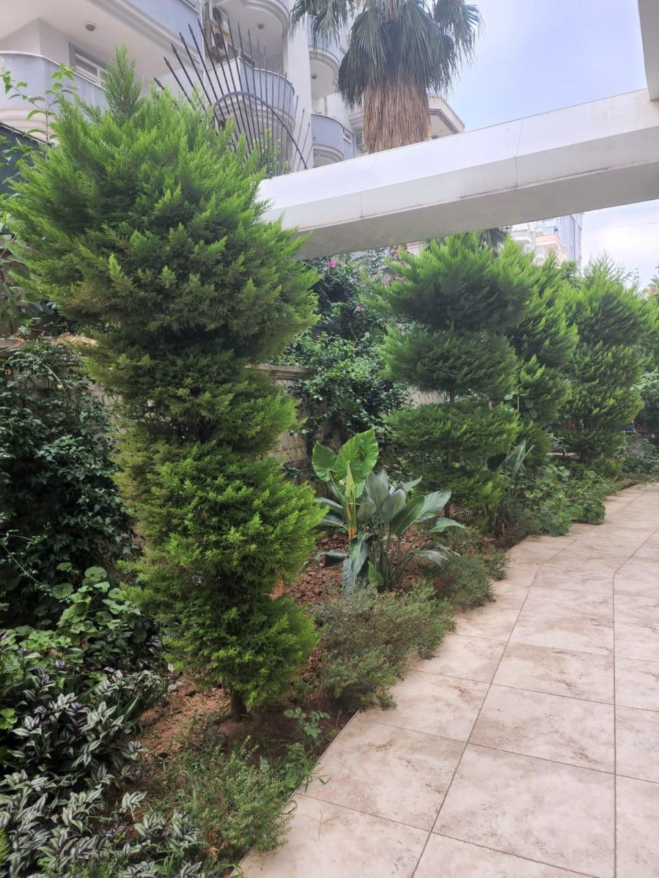 Квартира в Алании, Турция, 60 м2 фото 4
