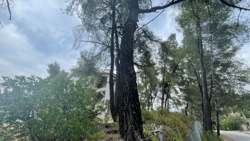 Дом в Салониках, Греция, 180 м2 фото 2