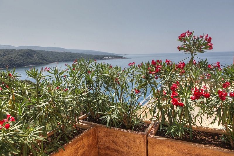 Квартира в Добра Воде, Черногория, 244 м2 фото 2